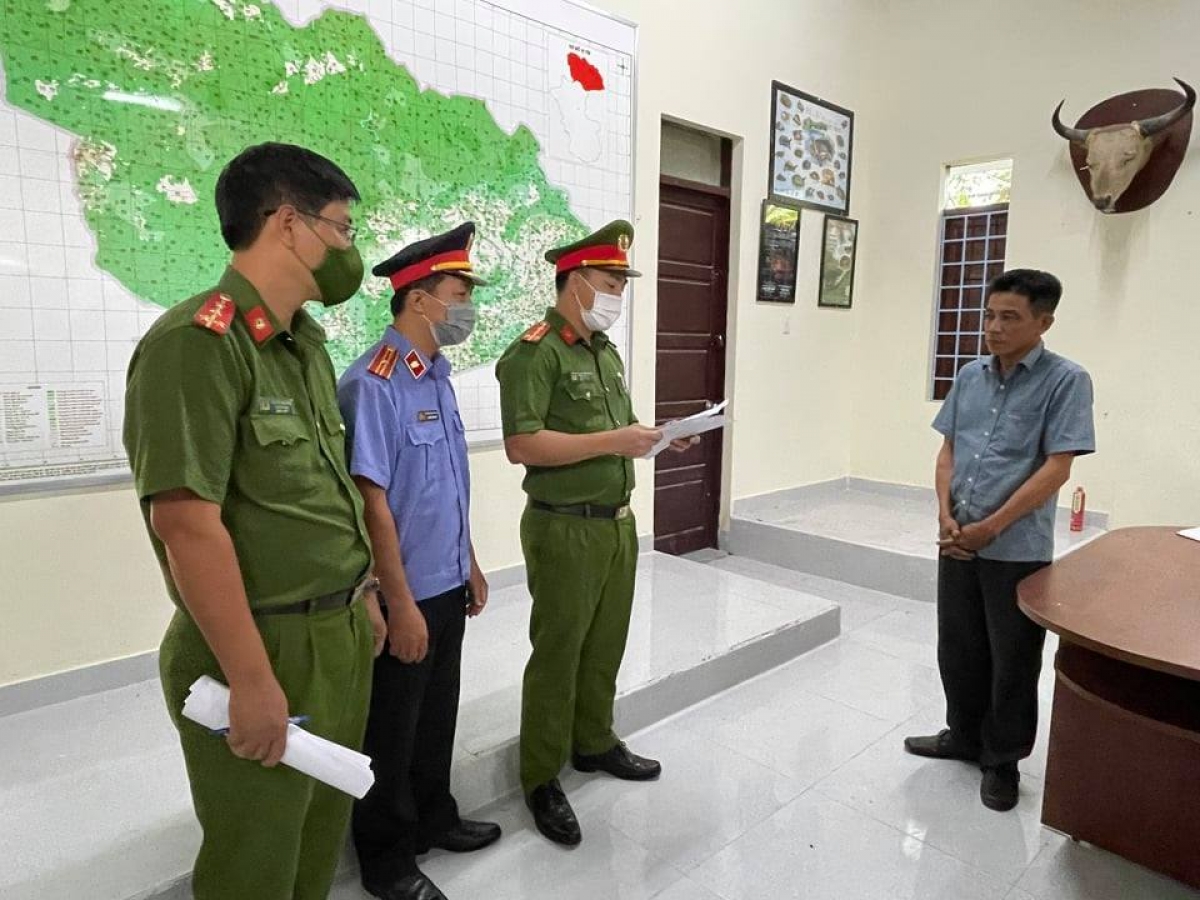 Đắk Lắk Trạm trưởng Kiểm lâm bị khởi tố do “nhận hối lộ” cho lâm tặc phá rừng