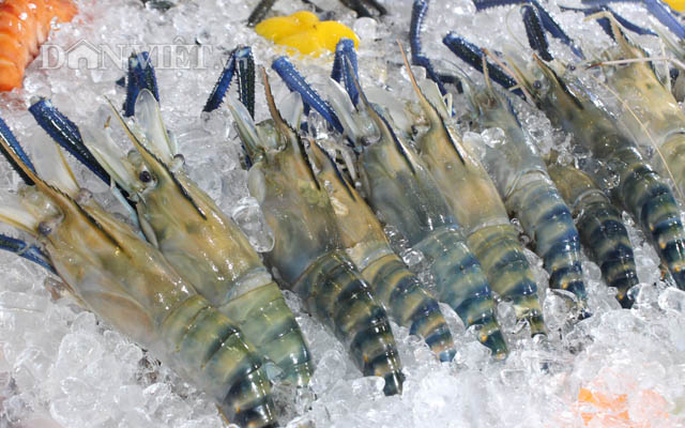 Xuất khẩu tôm khởi sắc nhờ tận dụng tốt các FTA