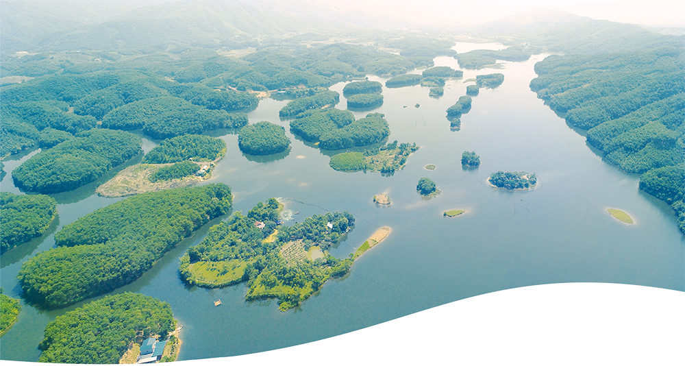 Phú Thọ Nhà đầu tư duy nhất đăng ký thực hiện dự án đô thị nghỉ dưỡng 960 tỷ đồng