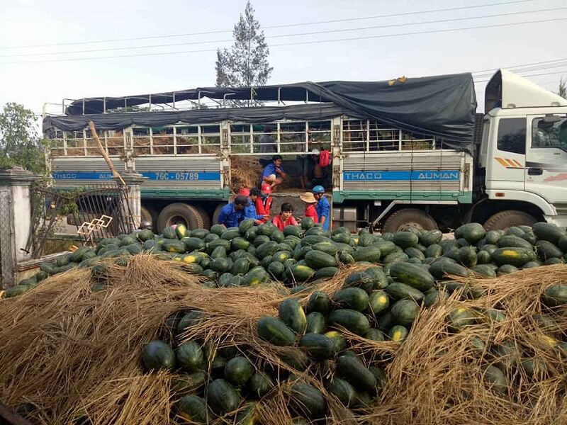 Bộ NN-PTNT đề xuất giải pháp cấp bách lưu thông hàng hóa