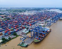 Cảng Cát Lái tạm ngưng tiếp nhận hàng hóa xuất khẩu 