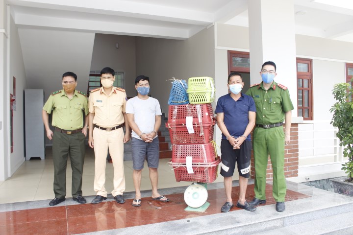 Nghệ An Bắt quả tang vụ vận chuyển trái phép 07 cá thể hổ