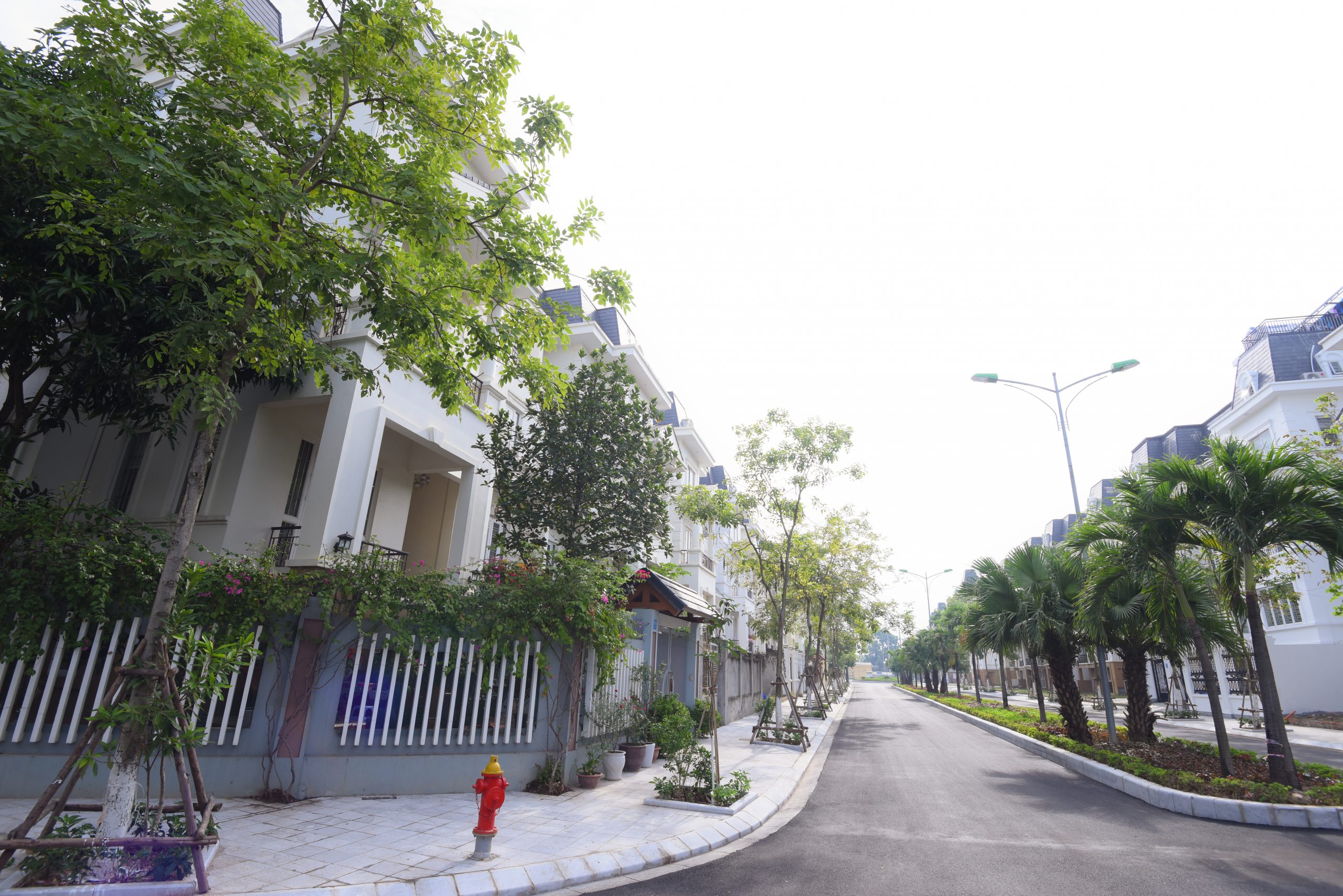 Bà Trần Thị Mừng không còn là cổ đông lớn của Phát triển đô thị Từ Liêm