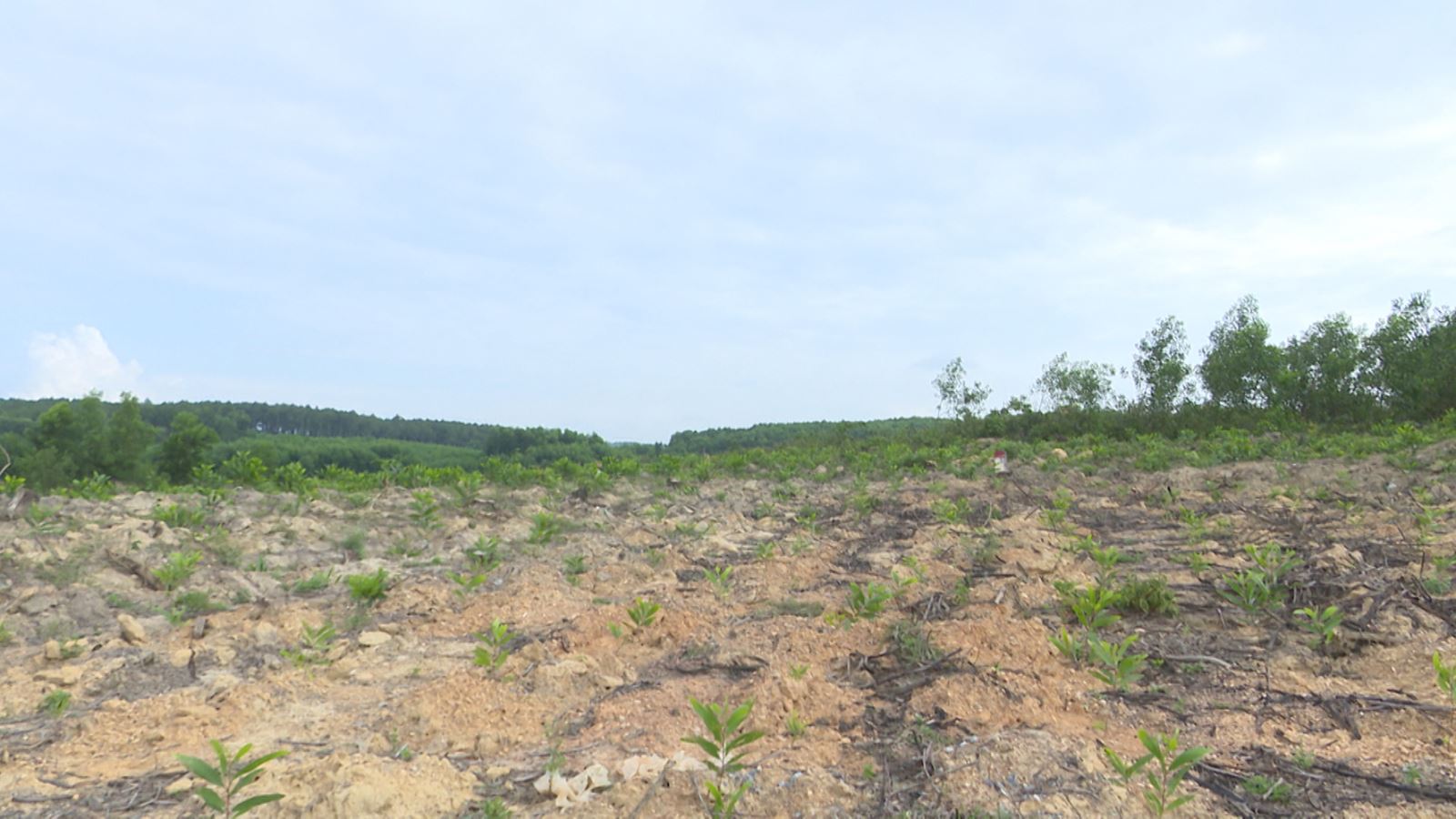 Quảng Trị Thu hồi và chuyển mục đích sử dụng hàng loạt dự án, thanh tra nguyên nhân chậm đưa đất vào sử dụng