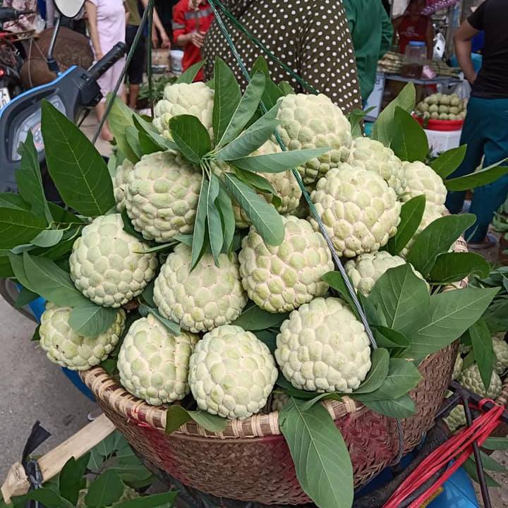 Xoài, nhãn và đến lượt quả na đã tìm được lối thoát tiêu thụ giữa mùa dịch nhờ thương mại điện tử