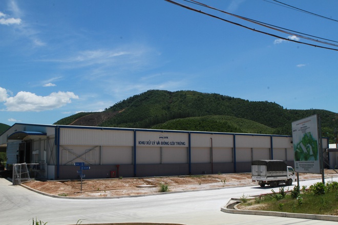 Đại gia đầu tư nhà máy sản xuất trứng gà Người phát tài – Người phá sản