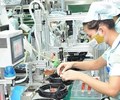 TS Lê Xuân Nghĩa “Chính phủ nên sử dụng chính sách tài khoá thay vì chính sách tiền tệ trong nỗ lực hỗ trợ doanh nghiệp” 