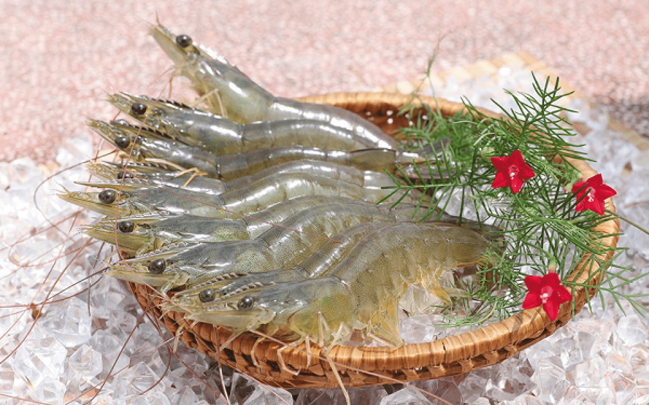 Khâu vận chuyển gặp khó, giá tôm Indonesia tiếp tục giảm