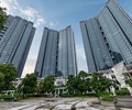 Sunshine Homes gia nhập nhóm đại gia trên 1 tỷ USD sau khi cổ phiếu SSH tăng trần 10 phiên liên tiếp 