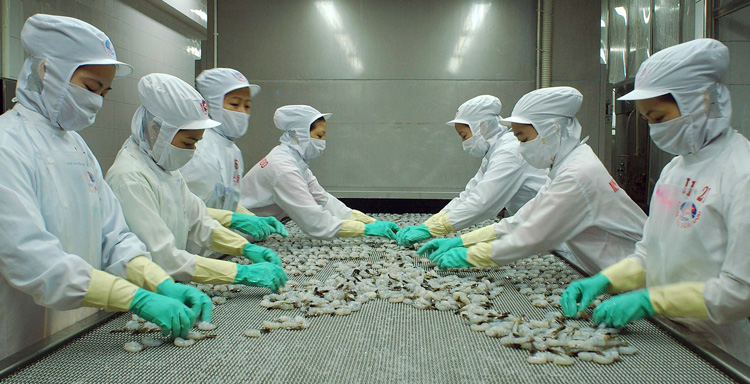 VASEP đề xuất giảm nhiều loại phí, cao nhất tới 50% cho doanh nghiệp thuỷ sản