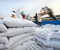 Hà Nội gửi tặng 6.000 tấn gạo hỗ trợ TP Hồ Chí Minh và tỉnh Bình Dương 