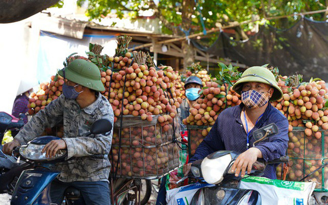 Dịch Covid-19 bùng phát, địa phương dồn lực giúp nông dân tiêu thụ nông sản 