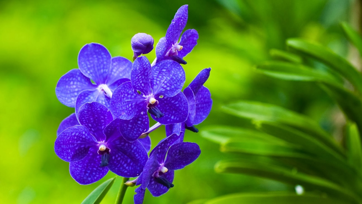 Tử vi 12 cung hoàng đạo ngày 482021 Bảo Bình chân thành