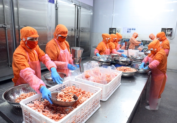 Ninh Thuận tháo gỡ khó khăn cho doanh nghiệp “3 tại chỗ”