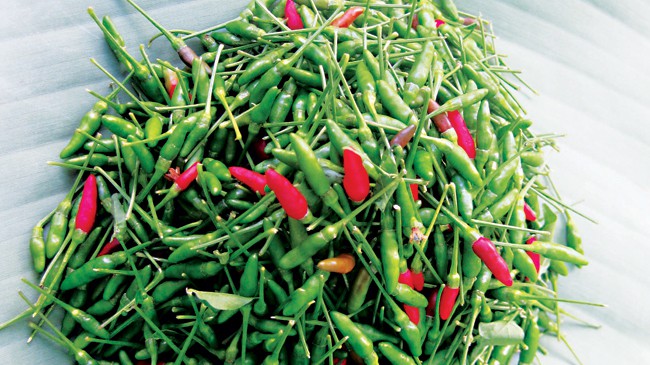 Ớt ariêu, tiêu amót - Loại gia vị đã trở thành “hồn cốt” trong các món ăn của đồng bào Cơ Tu