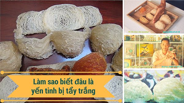 Mẹo phân biệt tổ yến thật - tổ yến giả