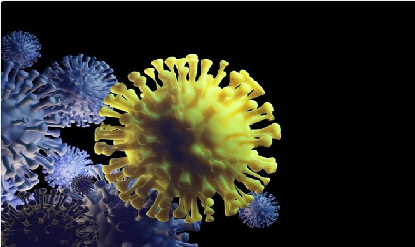 Nam Phi phát hiện biến chủng nCoV mới