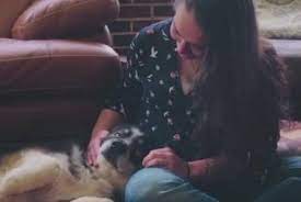 Chú chó bị thất lạc trở về nhà sau gần ba năm, cách nhà hơn 480 km nhờ được gắn chíp