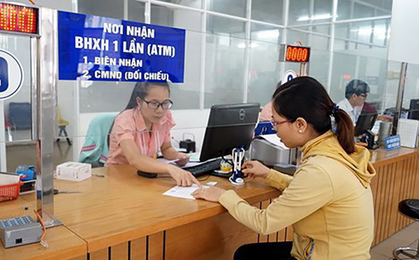 Không xét tham gia đấu thầu, đầu tư dự án với doanh nghiệp vi phạm pháp luật về bảo hiểm