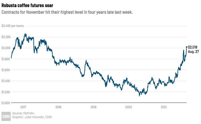 Giá cà phê toàn cầu tăng cao nhất trong 4 năm