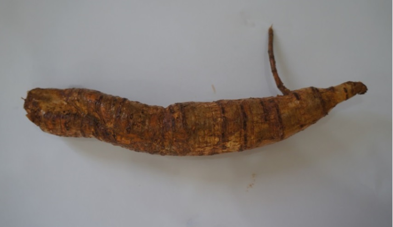 Bảo hộ chỉ dẫn địa lý Núi Dành cho sản phẩm Sâm Nam