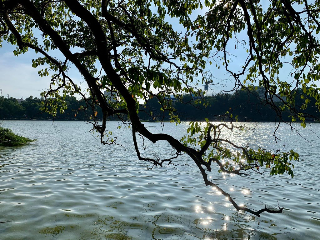 Dự báo thời tiết hôm nay 39 Hà Nói có mưa rào và dông