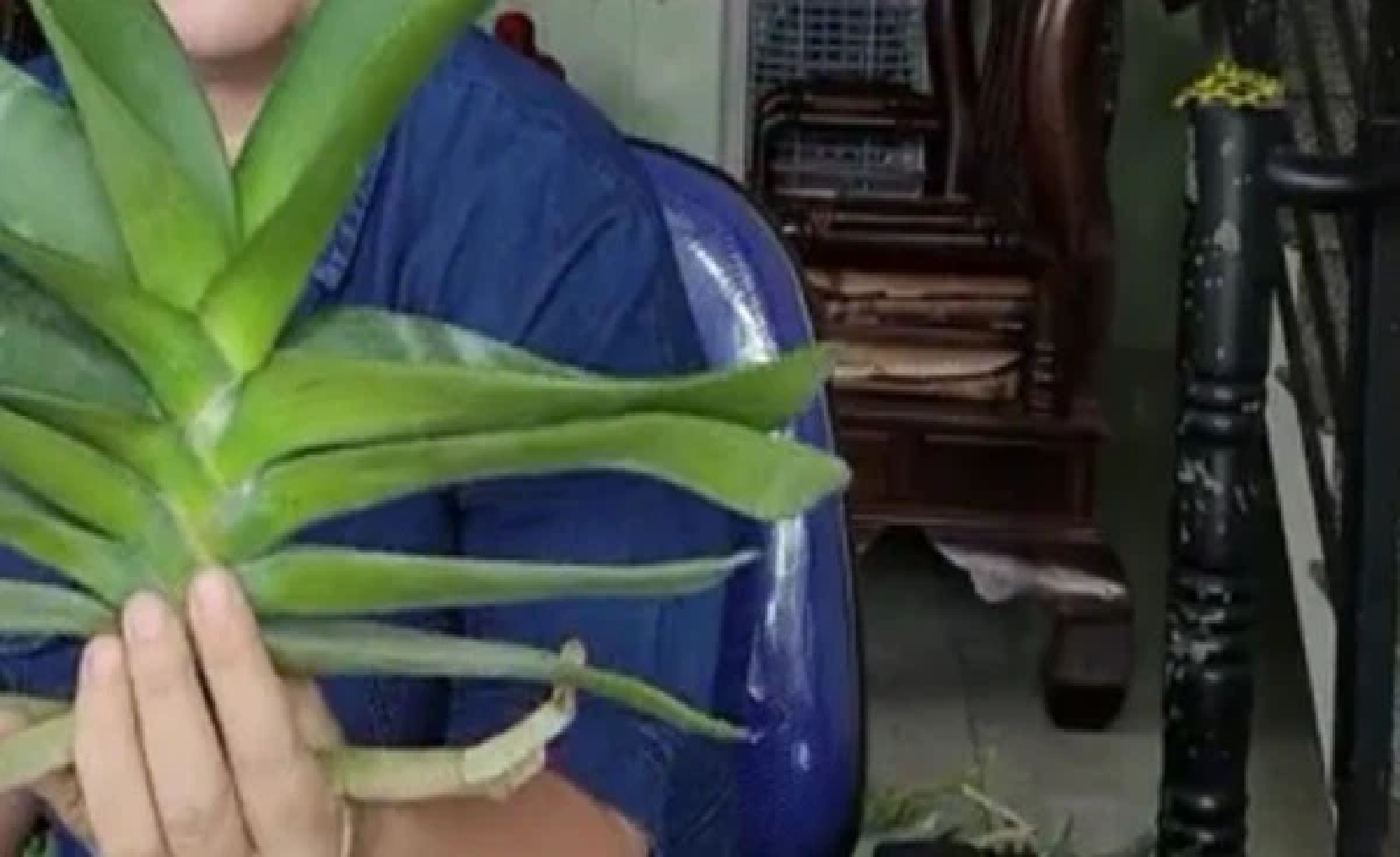 Chưa đăng ký thuế, một giáo viên vẫn chốt đơn gần 26,5 tỷ đồng lan qua Livestream Facebook 