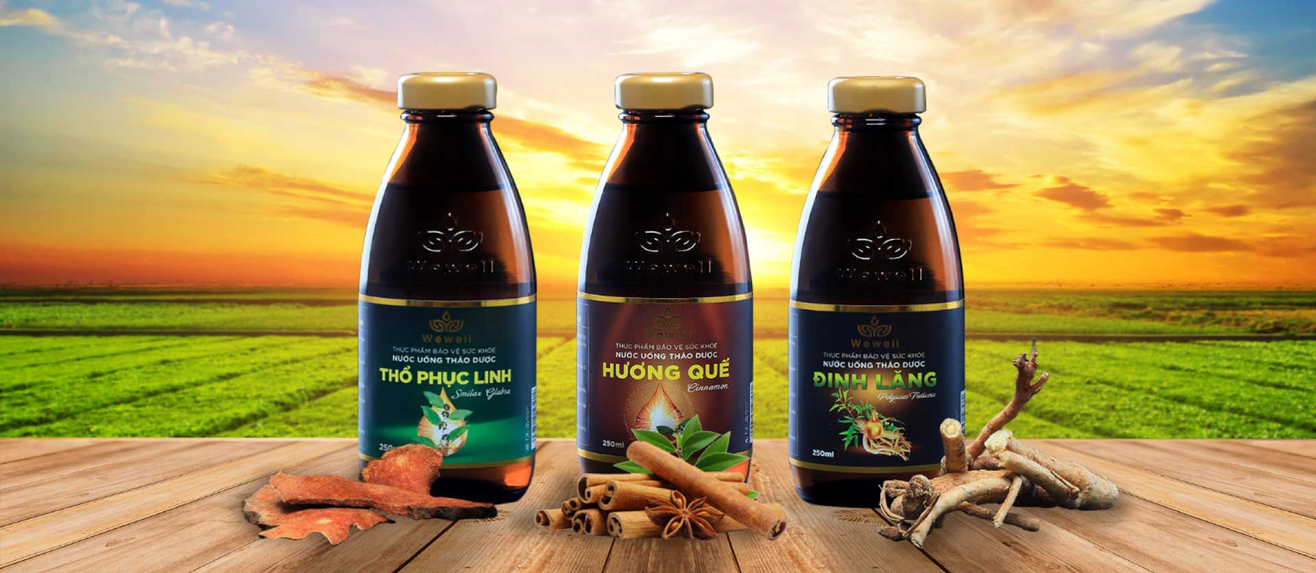  Dược liệu Việt Nam (VHE) muốn phát hành gần 16 triệu cổ phiếu riêng lẻ để tăng vốn điều lệ