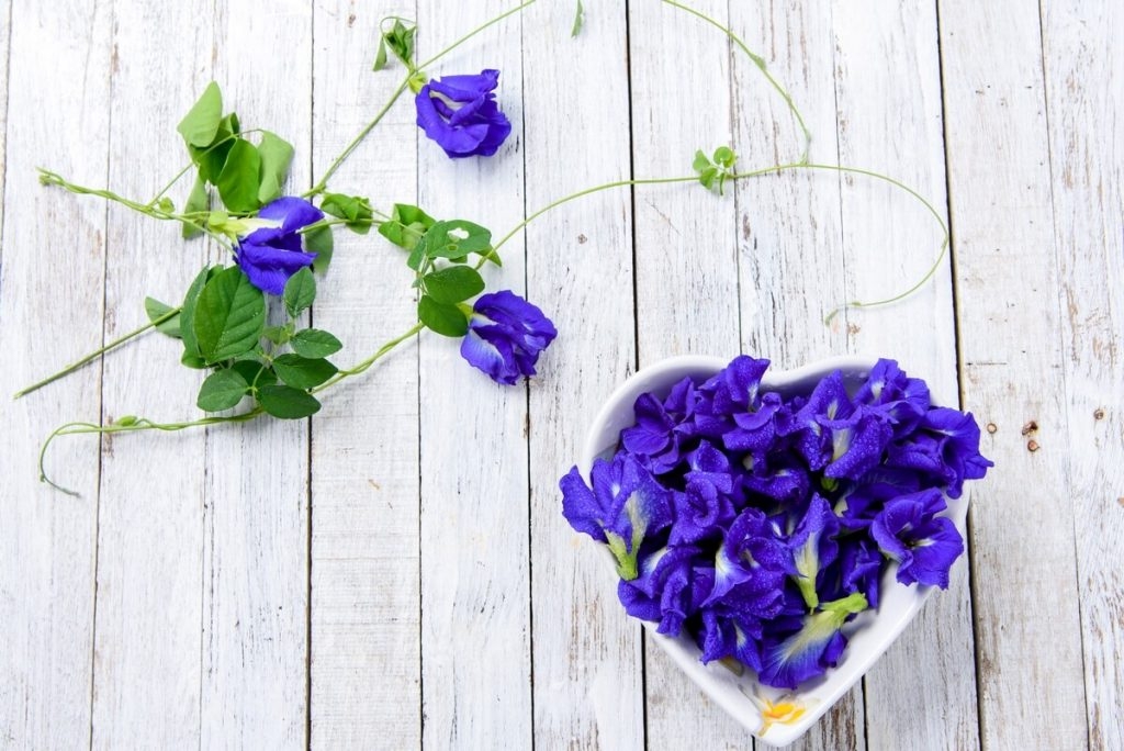 Tử vi ngày 1292021 Tuổi Ngọ tài lộc dồi dào tuổi Dần dễ mắc sai sót trong công việc