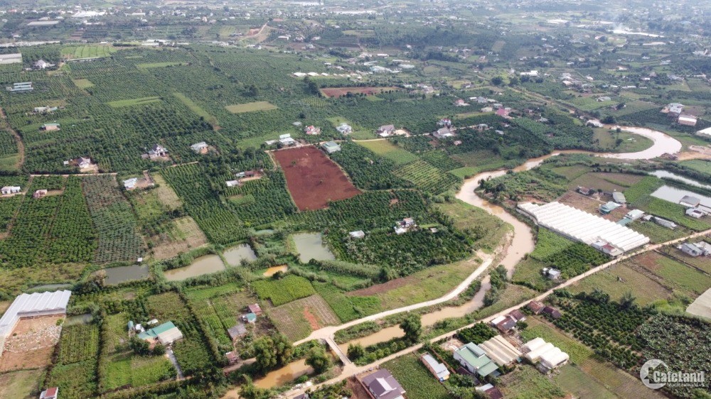 Lâm Đồng Đề nghị điều chỉnh quy hoạch sử dụng đất của Công ty Tân Mai là không có cơ sở xem xét