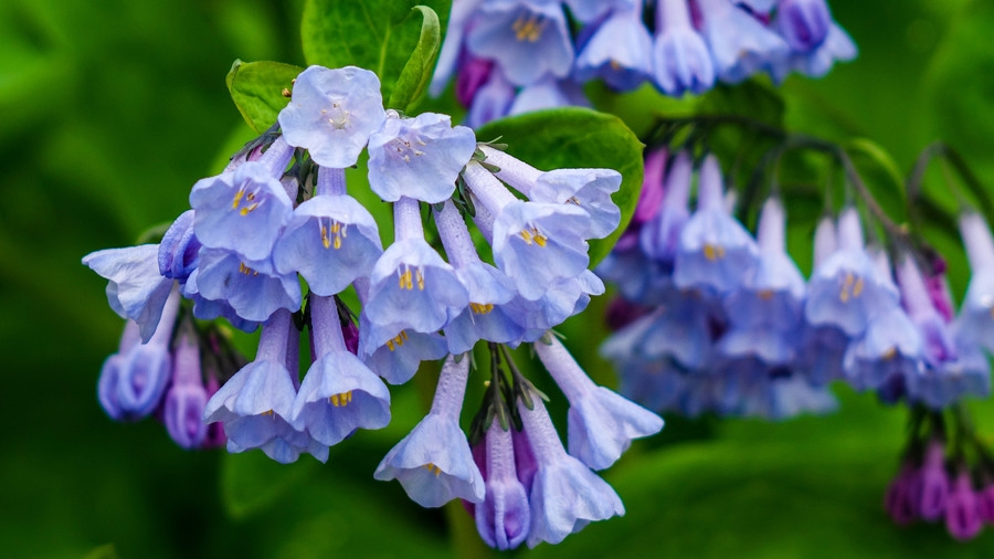 Tử vi 12 cung hoàng đạo tuần từ 139 - 199 Nhân Mã bướng bỉnh Bảo Bình nên nắm bắt cơ hội