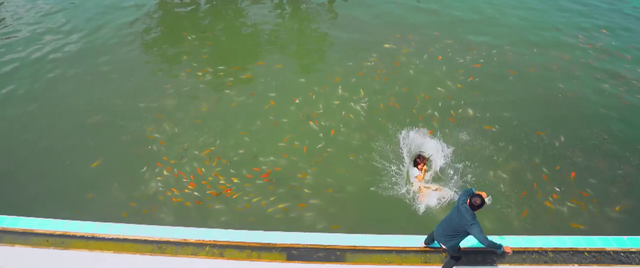 Phim 11 tháng 5 ngày Tập 22 Đăng sẽ làm gì để chuộc lỗi khi vô tình đẩy Nhi ngã xuống hồ nước