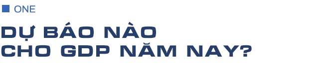 Việt Nam nên chuẩn bị cho việc mở cửa kinh tế trở lại như thế nào? - 1