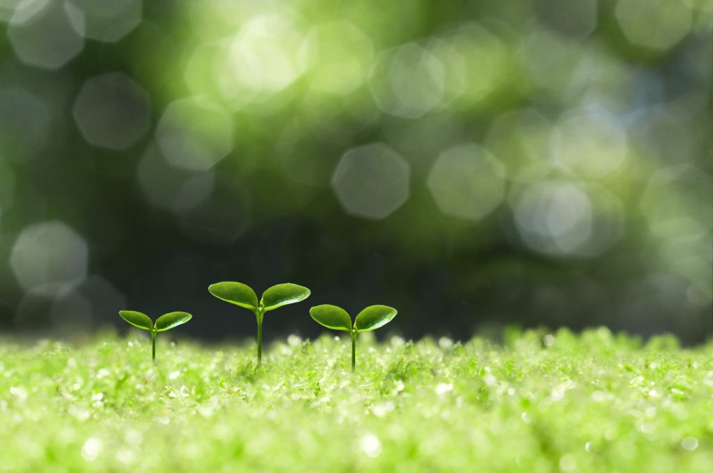 Tử vi ngày 1992021 Tuổi Dần quý nhân che chở tuổi Ngọ tâm trạng bí bách