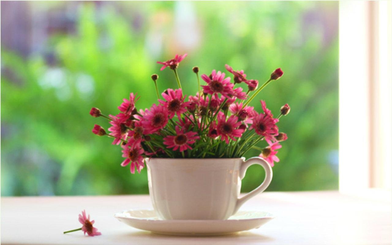 Tử vi 12 cung hoàng đạo ngày 1992021 Ma Kết đón cơ hội thuận lợi Bảo Bình đối mặt nhiều khó khăn