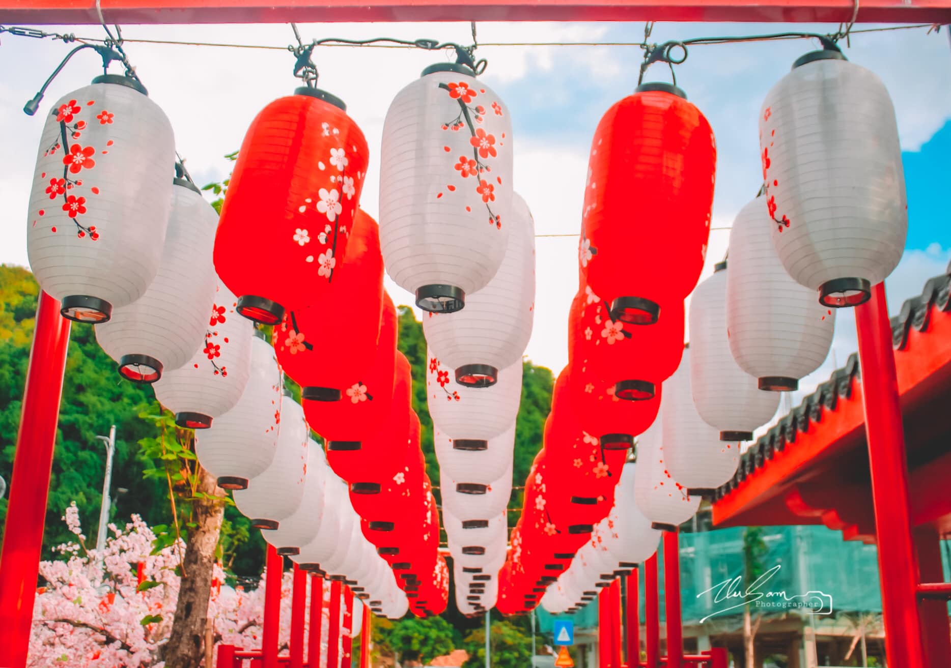 Chùm ảnh Điểm check in đậm chất Nhật Bản ở Sơn La