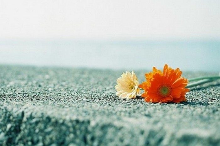 Tử vi 12 cung hoàng đạo ngày 2192021 Kim Ngưu đón may mắn bất ngờ Song Ngư đối mặt rắc rắc