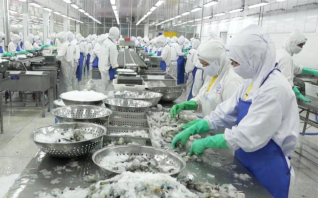 Doanh nghiệp thủy sản thêm gánh nặng về “nghĩa vụ môi trường”