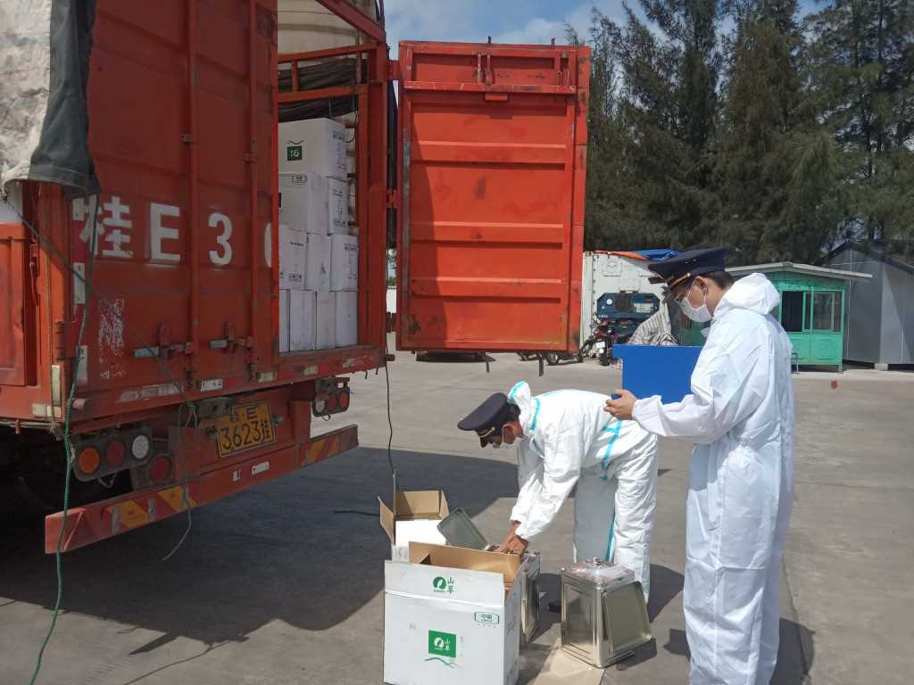 Xét nghiệm SARS-CoV-2 đối với hàng hóa và phương tiện tại cửa khẩu Móng Cái, thanh long Việt Nam được thông quan trở lại