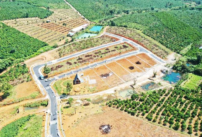 Lâm Đồng Tiếp tục tăng cường trong công tác quản lý đất đai