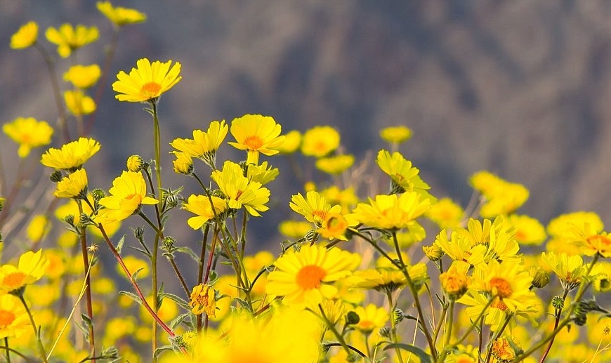 Tử vi ngày 2792021 Tuổi Tý có thể nhận được một khoản tiền thưởng tuổi Sửu dễ vướng tranh chấp