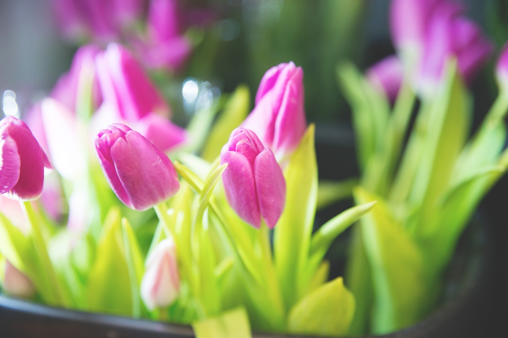 Tử vi 12 cung hoàng đạo ngày 2792021 Ma Kết dư dả tài chính Bọ Cạp cần chú ý vấn đề sức khỏe