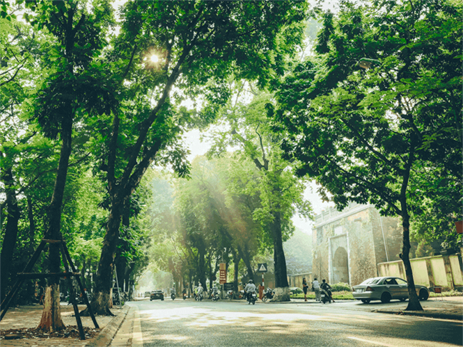 Dự báo thời tiết đêm nay và ngày mai 299 Hà Nội và các khu vực trên cả nước