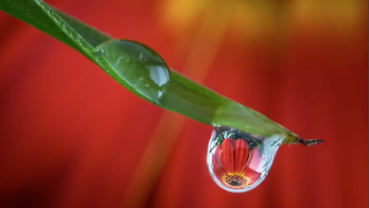 Tử vi ngày 3092021 Tuổi Thìn khẳng định vị thế tuổi Mùi ứng biến nhanh nhạy