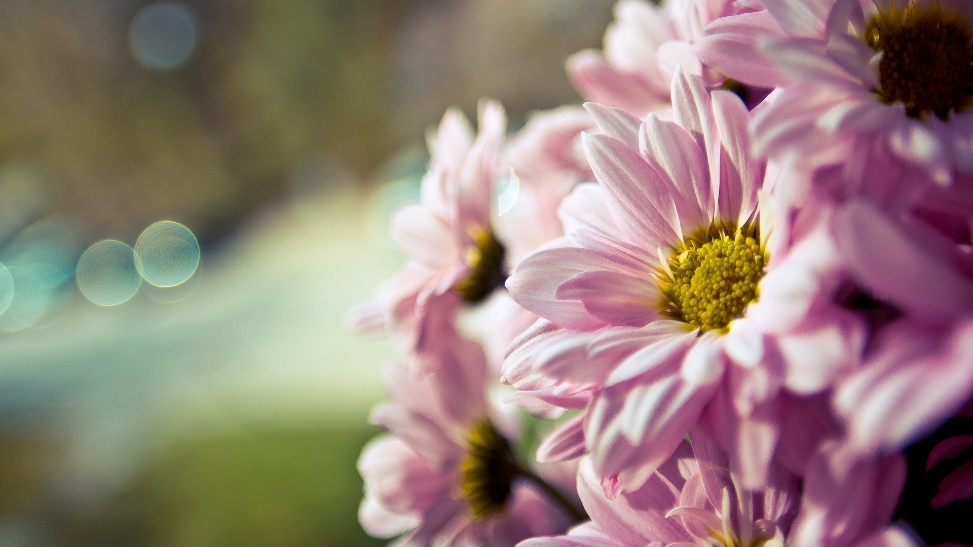 Tử vi 12 cung hoàng đạo tháng 102021 Kim Ngưu tài lộc khởi sắc, Nhân Mã đón nhiều tin vui