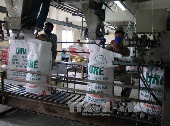Khủng hoảng nguồn cung Giá phân đạm urê liên tiếp lập các kỷ lục mới