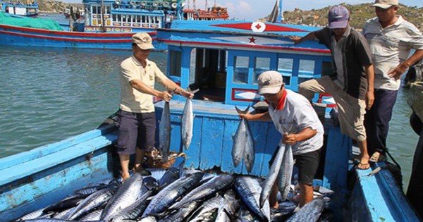  Bức tranh xuất nhập khẩu nông lâm thủy sản hé lộ nhiều gam màu sáng