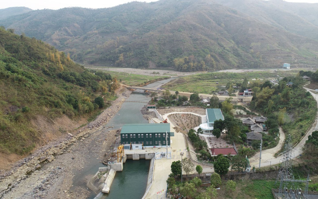 Anh trai Chủ tịch NED bị phạt vì chậm báo cáo lý do không mua cổ phiếu đã đăng ký