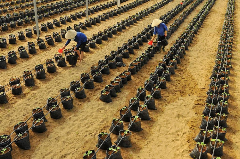 Thagrico huy động thành công 2.400 tỷ đồng trái phiếu, lãi suất 8,2%năm