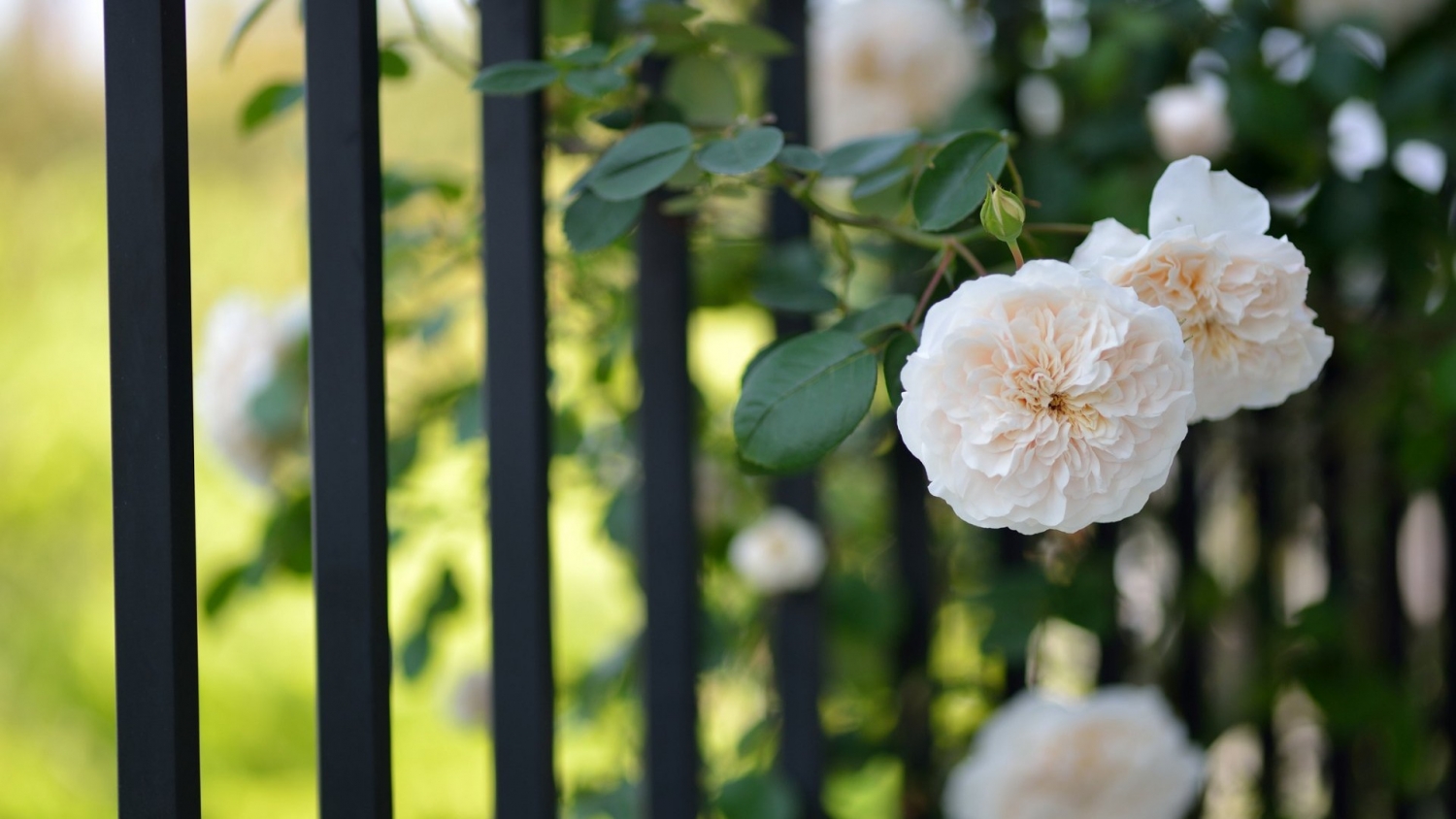 Tử vi 12 cung hoàng đạo ngày 12102021 Kim Ngưu may mắn bất ngờ Nhân Mã gặp nhiều phiền toái